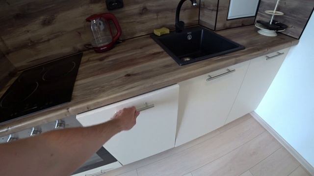 Аренда однокомнатной квартиры. Для Авито. Антропшино.