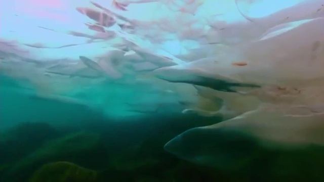 Мир полон чудес. Природа,водопад,реки,озёра,горы,вулканы и озера Байкал