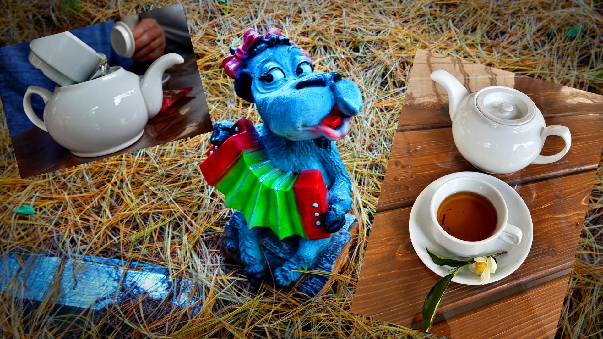 КАК МЫ ПОСЛЕ ЭКСКУРСИИ ☕ЧАЙ ЖЕНИЛИ! МАЦЕСТА-ЧАЙ. ФОТОДНЕВНИК Ч.20. СЛАЙД-ШОУ. СОЧИ. 24.11.2025.