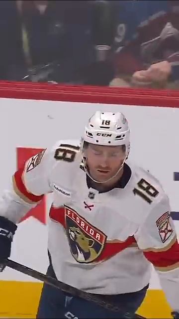 GREGOR ANSWERS BACK!