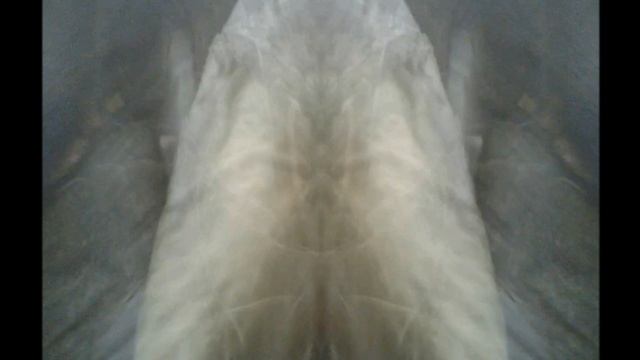 Видеопроект 