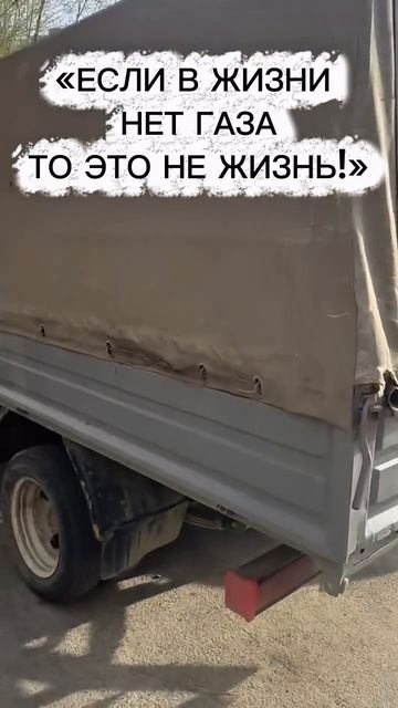 ДЕНЬ 29/30 очаровывает меня ГАЗЕЛЬ.