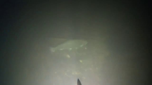 ПОДВОДНАЯ ОХОТА. ЛУЧШАЯ РЫБАЛКА ЗИМЫ.