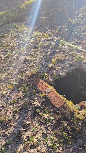 Очень наглядно, как работает древнее знание Васту (подробности в описании)