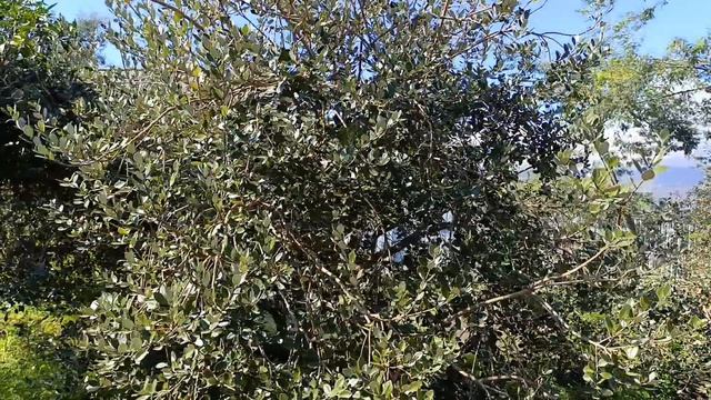 В гостях у Кати в Эшере