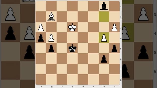 эндшпиль.пустой слон.