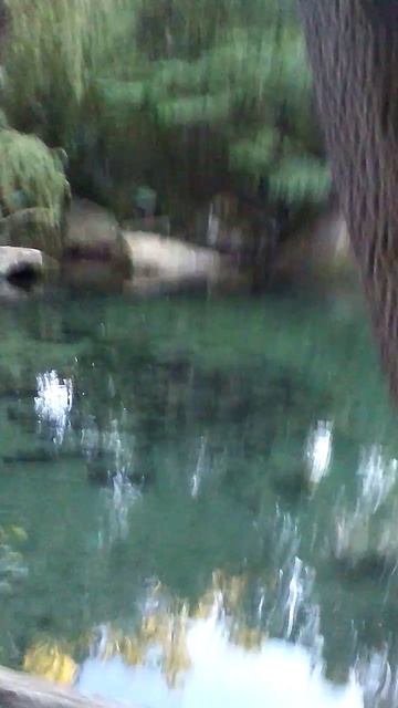 96)D ВОРОНЦОВЫЙ   ДВОРЕЦ НАРУЖУ ТЕРРИТОРИЯ