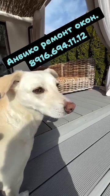 Зарабатываем вместе. С нами выгодно и надёжно.