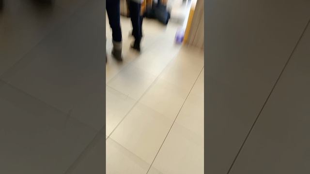 третья школьная война