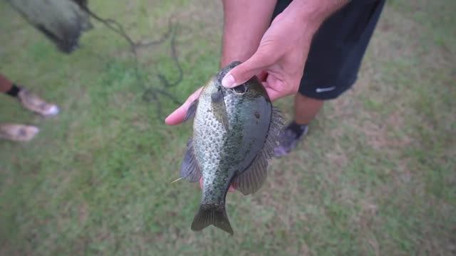 Fishing w_ GIANT Livebait! (HUGE Fish)