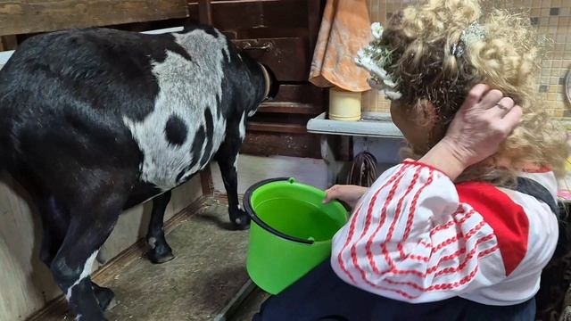 Я деревенская