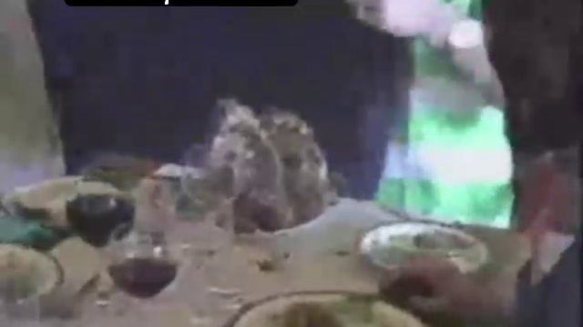 VID_20251101_191438_417.mp4