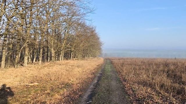 Я иду Бухать