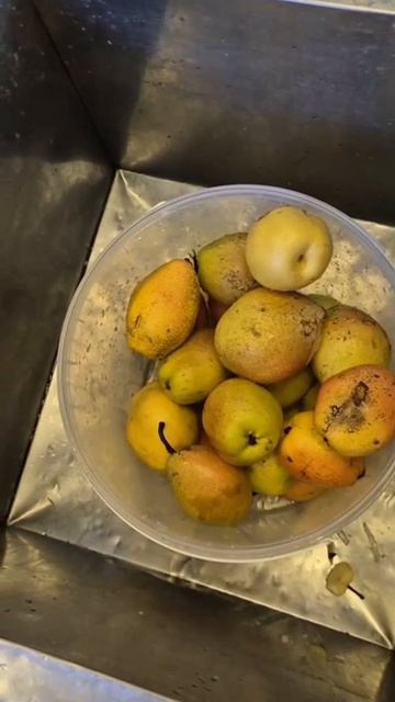 день в столовой