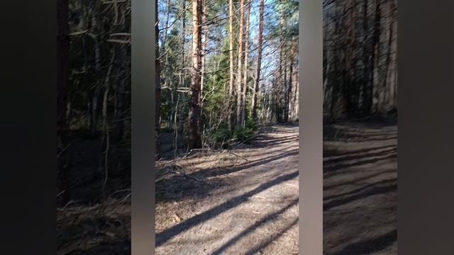 Разговор про самоуничижение