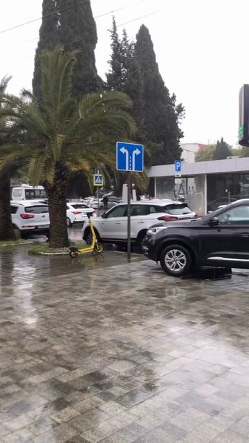 В Сочи +9°

Ощущается как +7° 
Вчера в это время +11°

Дождь
сегодня не прекратится