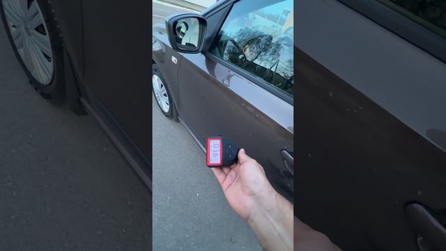 Поло рест 2015