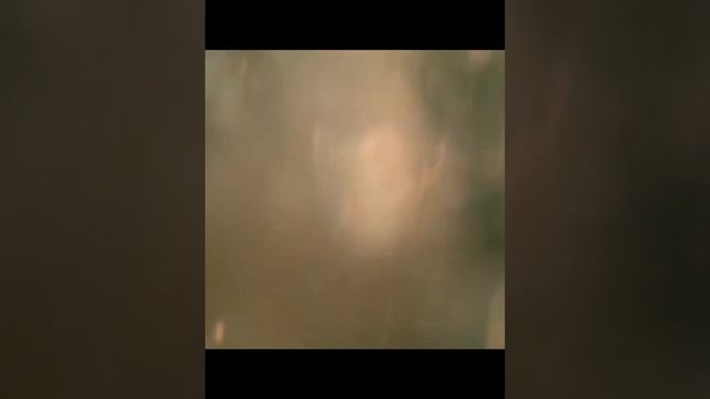 фильм на вечер