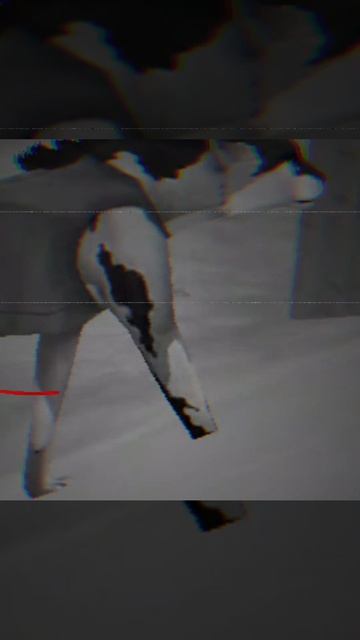 У меня немного мурашки от этого видео😥