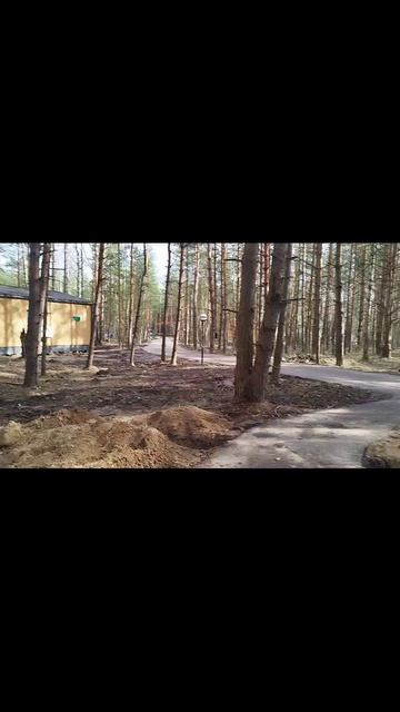 домики в лесу