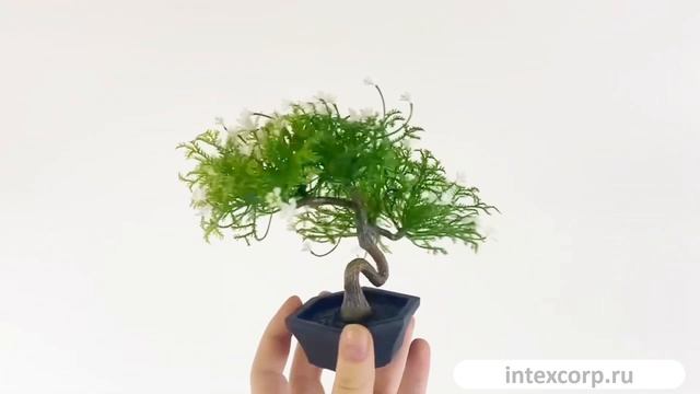 Искусственное растение в горшке ЦВЕТУЩИЙ БОНСАЙ МИНИ двойной, белый, 14 см, 5010112