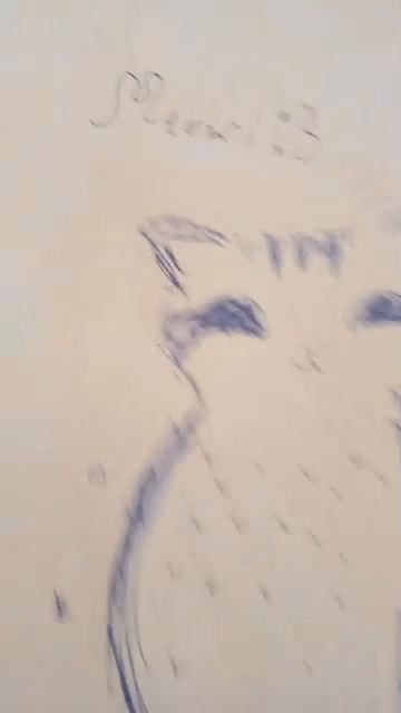 Хаю-хай я не Эвонгай