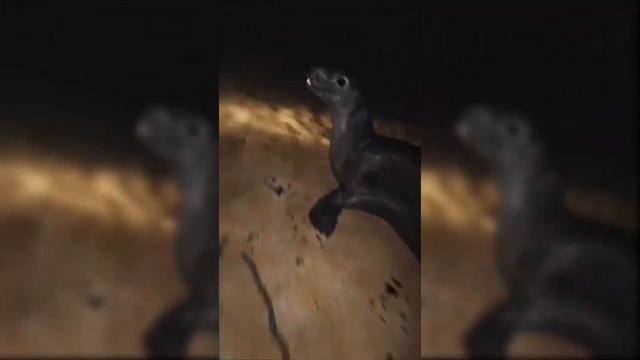 LIGHTS ARE OFF  Best TikTok Horror Compilation #12