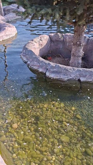 Озеро любви в Крыму | Бахчисарайский район Крыма