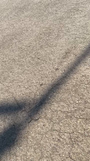 Хонда фрид 2012