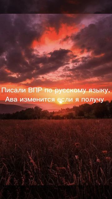 Коты воители