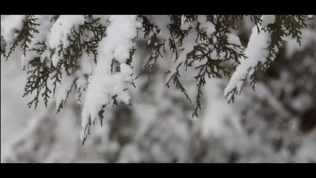 ЗИМА В ДЖАНКОЕ