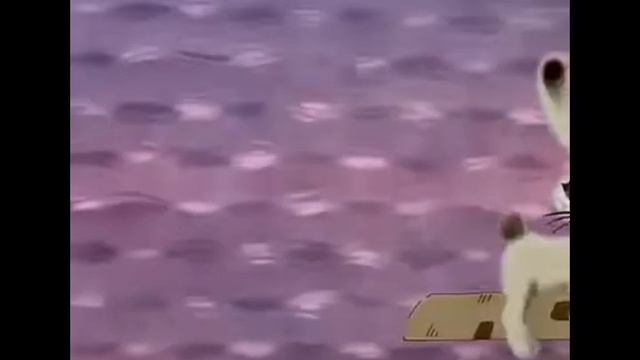 администрация города