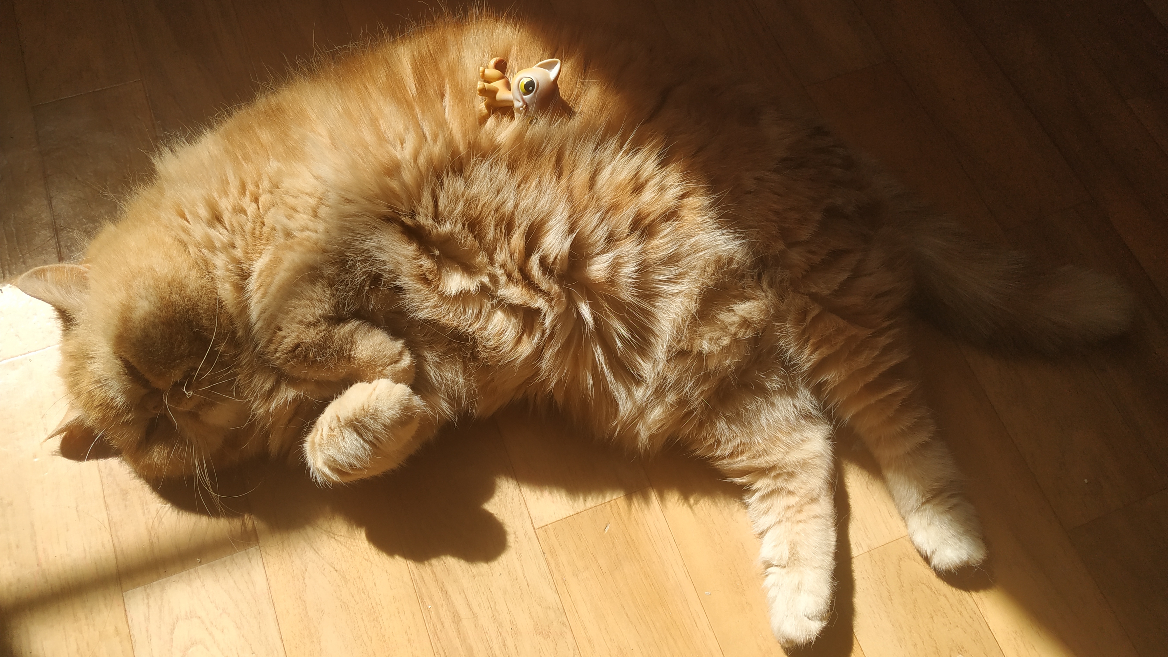 Littlest Pet Shop: Буся Пирожок