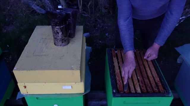 ПРОШЛО ДВА ДНЯ...И...