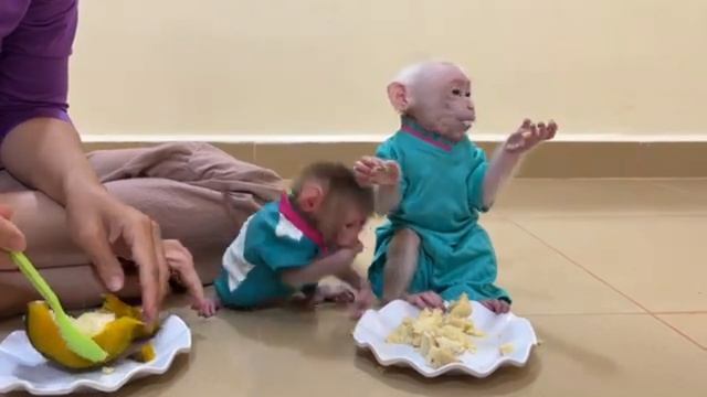 Занят-не занят стАршой, а руки так и тянутся к мелкому   1000046750.mp4