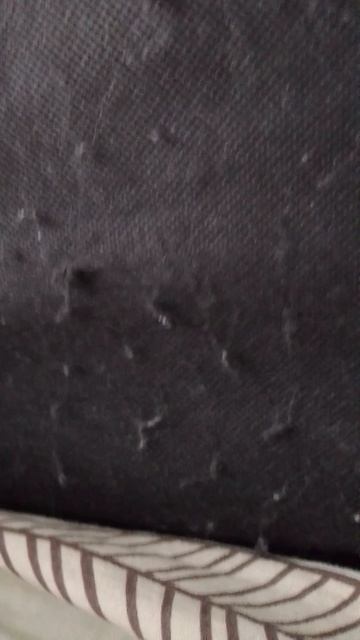 ответы про мою жизньсерый