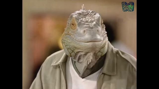 THIS IS WILD TV или просто WTV, читаем комментарии, создано нейросеть