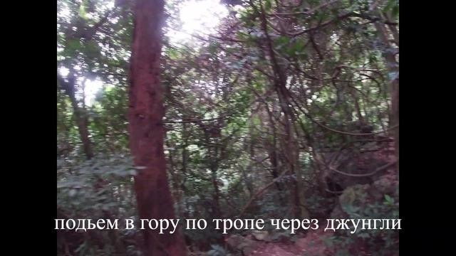 Вьетнам. Национальный парк на острове Катба