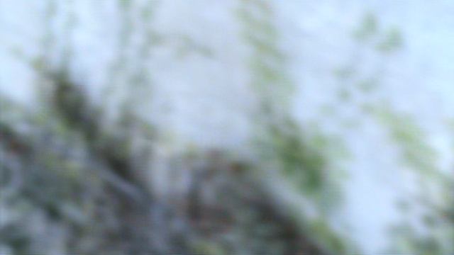 70)D ВОРОНЦОВЫЙ ДВОРЕЦ ВНУТРИ