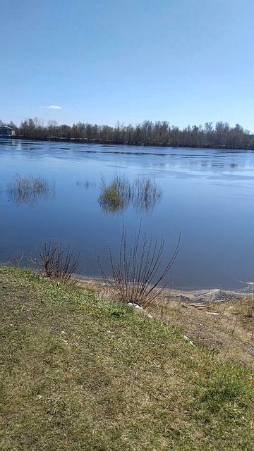 Светло!Тепло!И мухи не кусают! р.Ока.Ветерок! 13ч.32 мин.22.04.2026г.