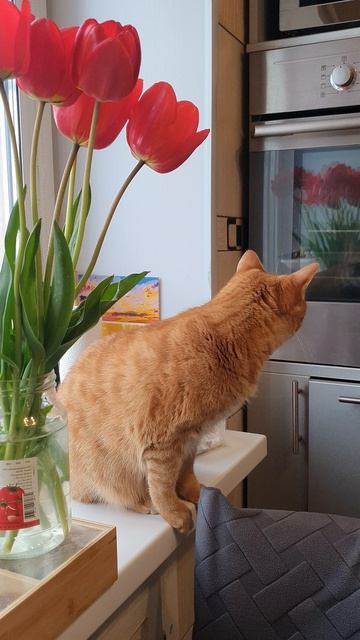 Ася любит цветы, как истинная женщина😃