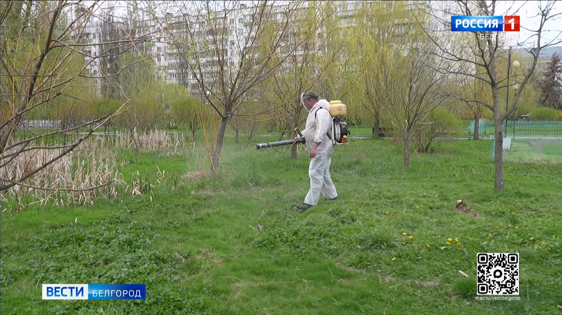 В Белгороде началась масштабная обработка общественных пространств от клещей