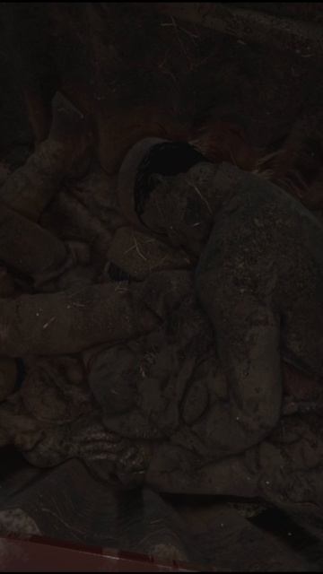 ХОРОШЕЕ НАЧАЛО