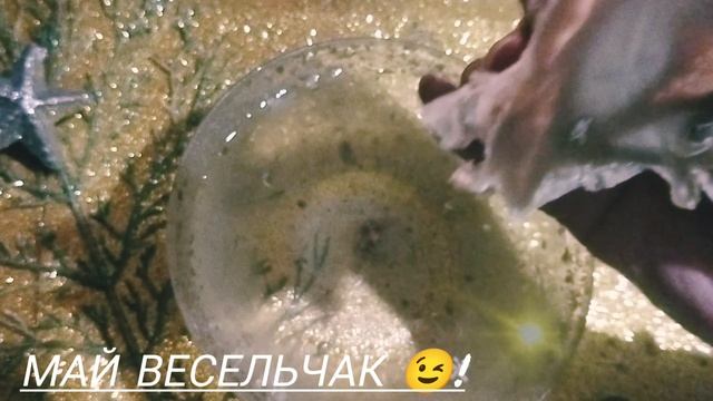 МАЙ весельчак 😊✨