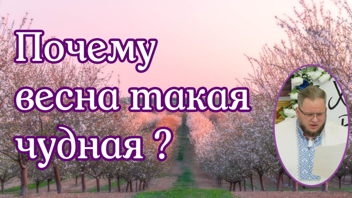 Почему весна такая чудная соло Илья Матвейчук