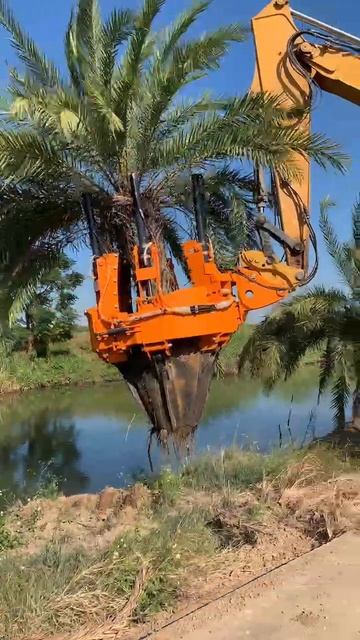Самое популярное видео в ВК