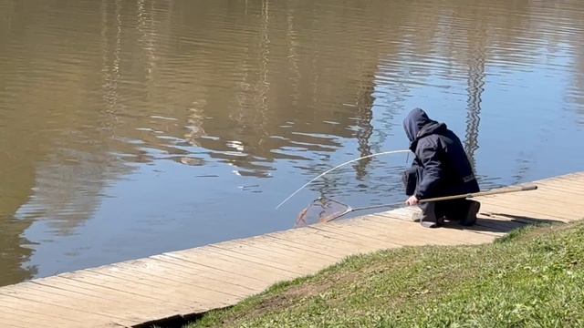 На блесну.Основной водоём