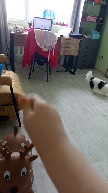 спасибо за подписку