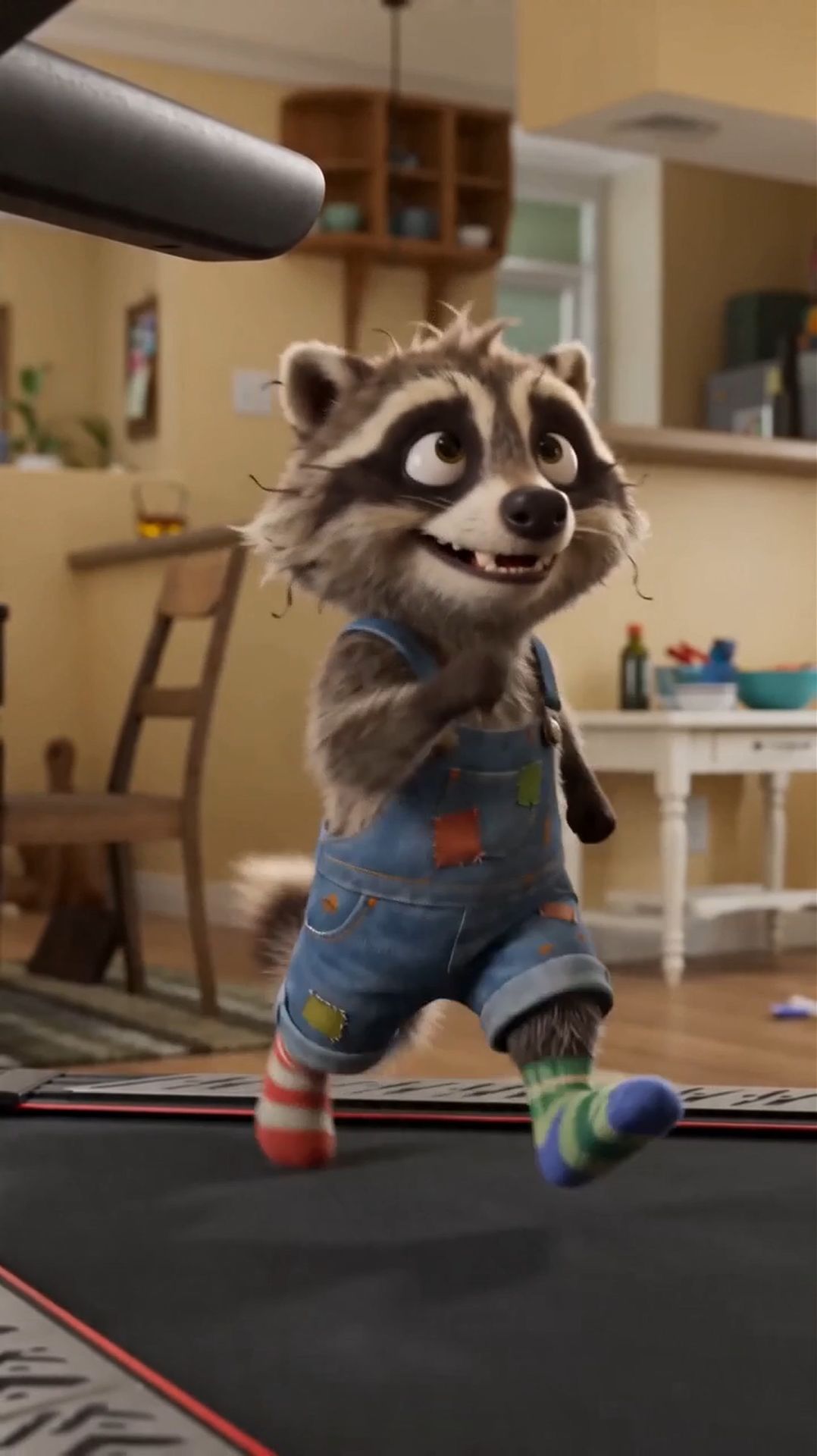 Енот и беговая дорожка!