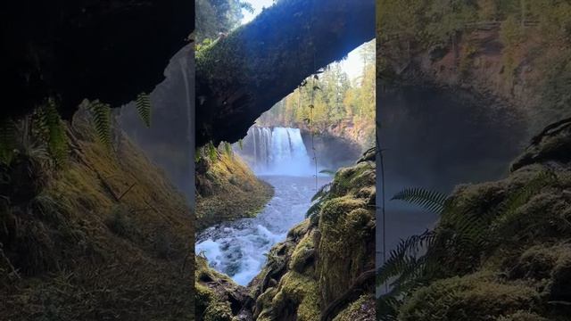 КРАСОТА ПРИРОДА.mp4